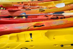 Kayak rental