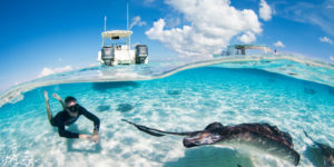 Stingray City