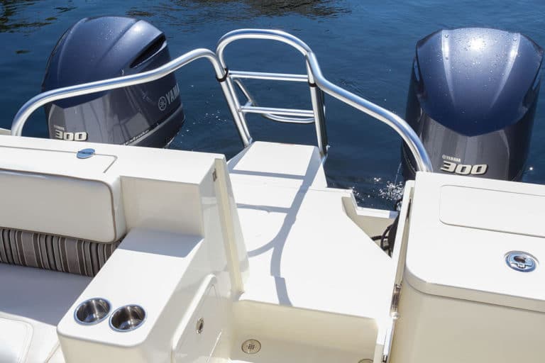 Stern Platform and Ladder