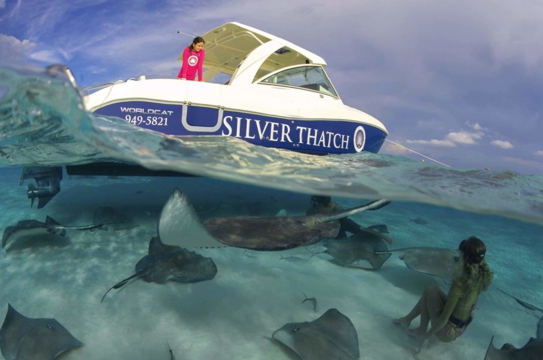 Stingray Charter Stingray Charter
